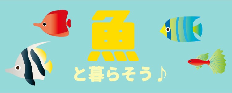 cook 今日なに作ろ？